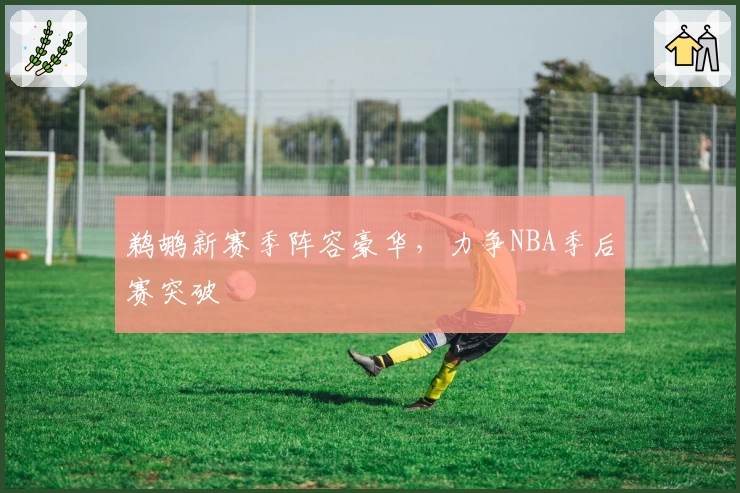 鹈鹕新赛季阵容豪华，力争NBA季后赛突破