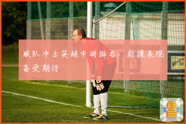 狼队冲击英超中游排名，新援表现备受期待