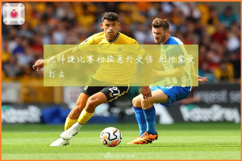 沈梓捷比赛初段意外受伤 北控蒙受打击