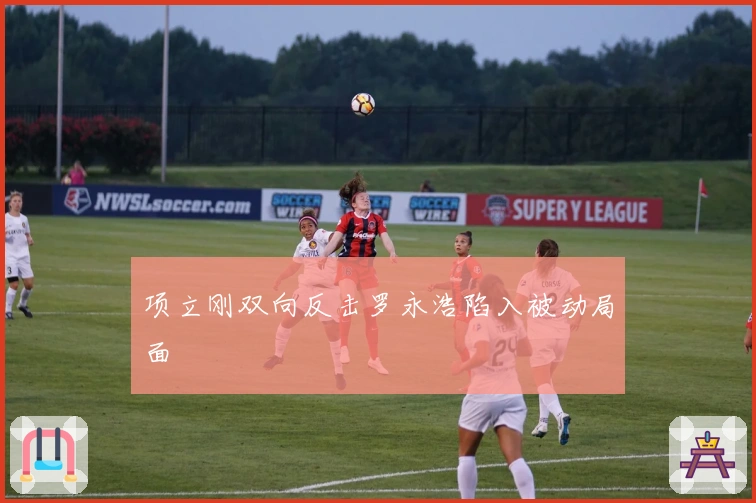 项立刚双向反击罗永浩陷入被动局面